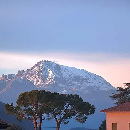 Il Torchio 3*